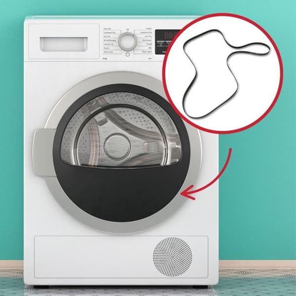 Elastisk rem - INDESIT - 1920H8 - 8 tänder