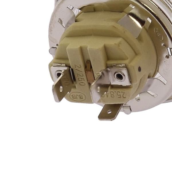 Ampull, lampa