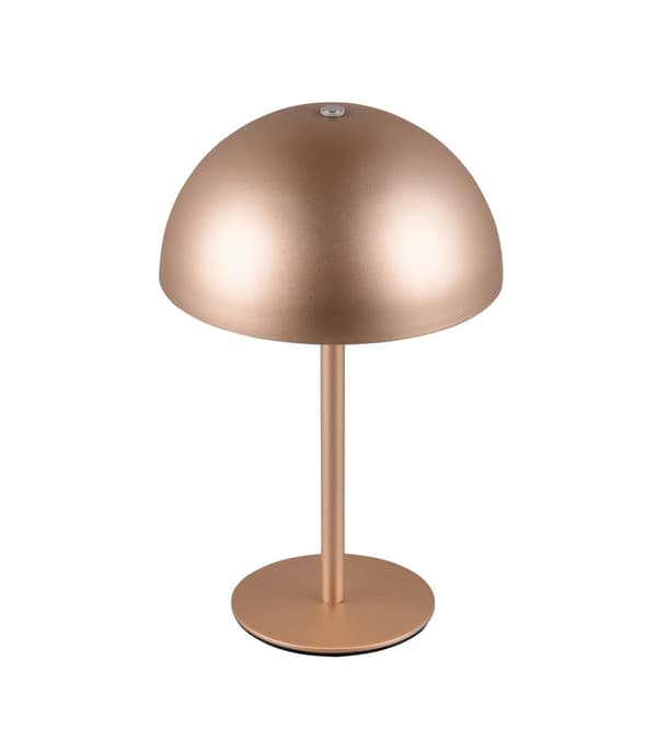 Bordlampe moderne kaffe trådløs svamp LED 1.3W MUNOZ RL