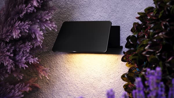 Grafiitinharmaa ulkoseinävalaisin sisäänrakennetulla LED 6W Trupp Maytoni