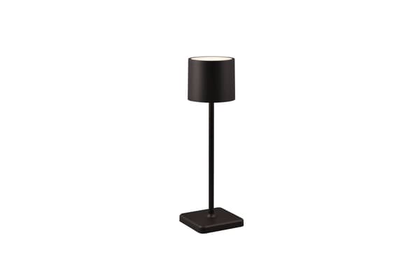 FERNANDEZ sort bærbar udendørslampe RL R54096132