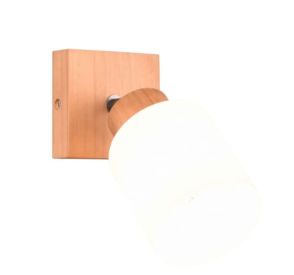 Väggspotlight ASSAM brun RL R81111030