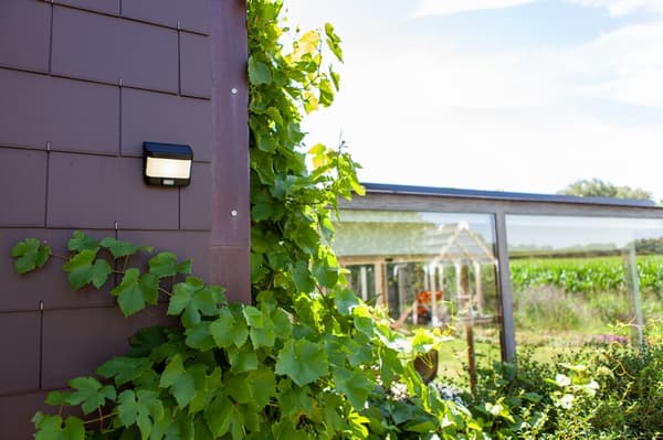 Facade væglampe udendørs TRY - SOLAR BEVÆGELSESSENSOR sort Lutec 6939101330