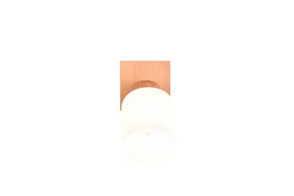 Väggspotlight ASSAM brun RL R81111030