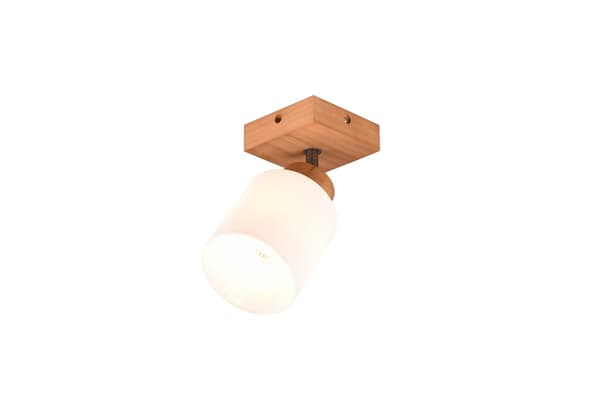 Väggspotlight ASSAM brun RL R81111030