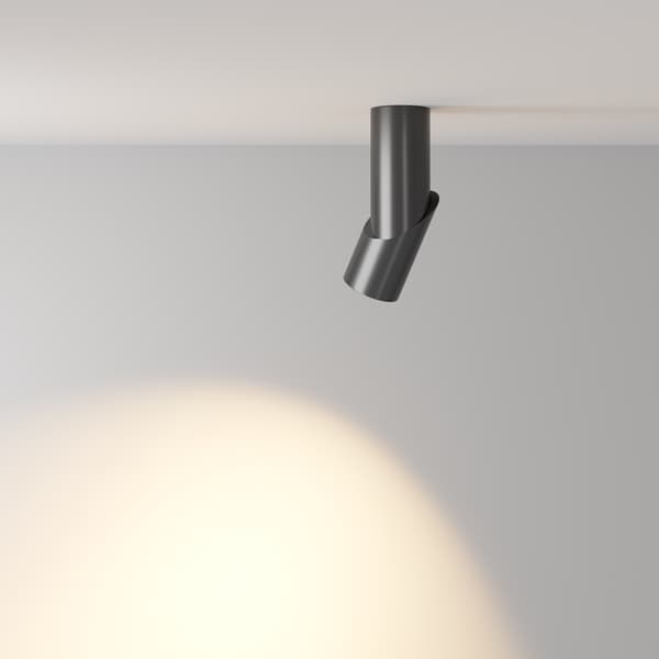 Maytoni Technical Dafne Maytoni C027CL-L10B loftlampe