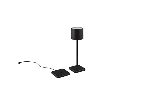 FERNANDEZ sort bærbar udendørslampe RL R54096132