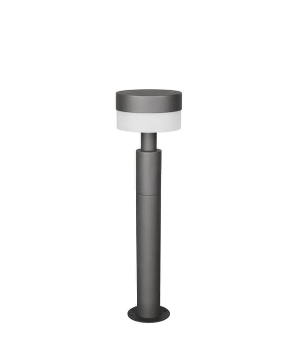 Moderne antracit havepullert 50 cm rund LED 8W MACKENZIE Trio