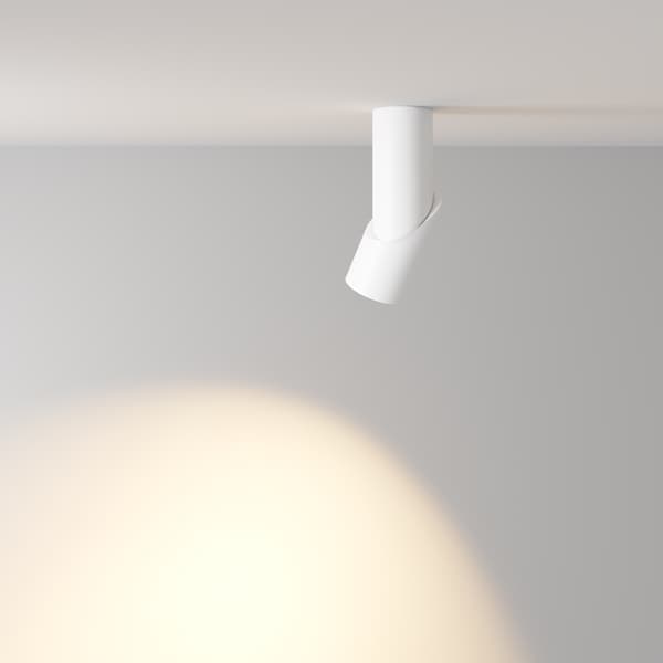 Maytoni Technical Dafne Maytoni C027CL-L10W loftlampe