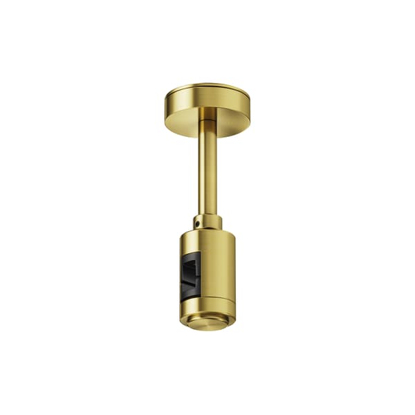 Enkel takmontering 12 cm mässing FLARITY Maytoni Technical