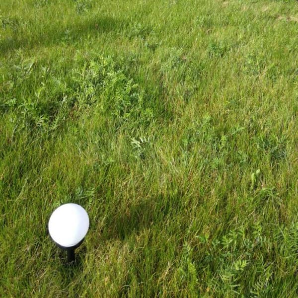 Solar havelampe kugle LED med spyd Ecolight EC20769