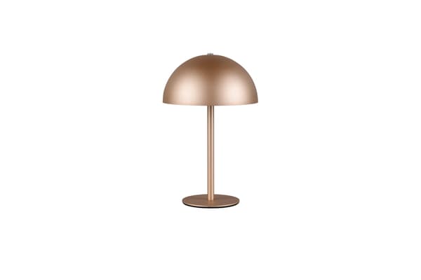 Bordlampe moderne kaffe trådløs svamp LED 1.3W MUNOZ RL