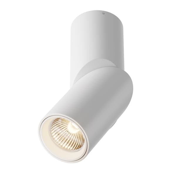 Maytoni Technical Dafne Maytoni C027CL-L10W loftlampe