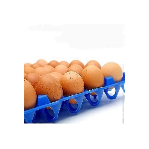 Äggbricka i plast, kapacitet 30 ägg, set om 2, blå