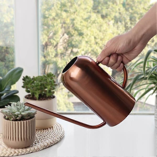 Vandkande til planter i rustfrit stål med lang tud