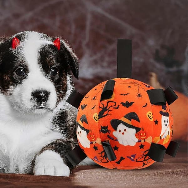 Legetøjsbolde til hunde Halloween-tema Interaktiv tyggekæledyrsfodbold Indbygget
