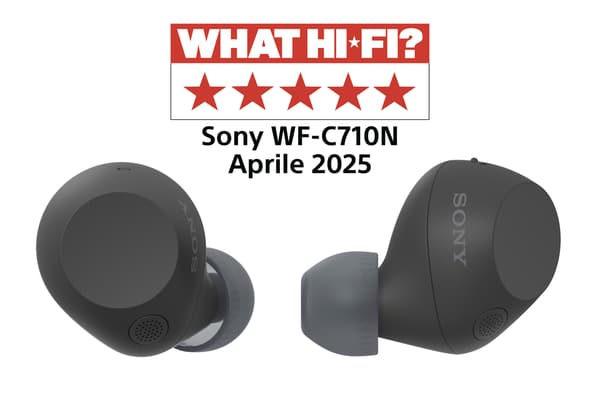 Sony WF-C710N Svart