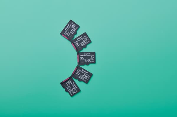Kingston Canvas Select Plus microSDXC 256GB + SD adapter
