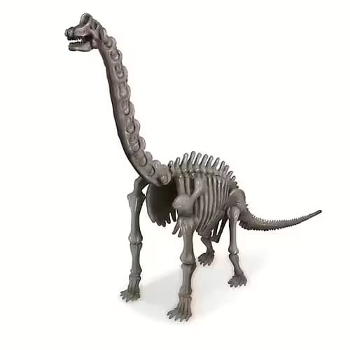Kidz Labs Brachiosaurus Skelet - Kalikå