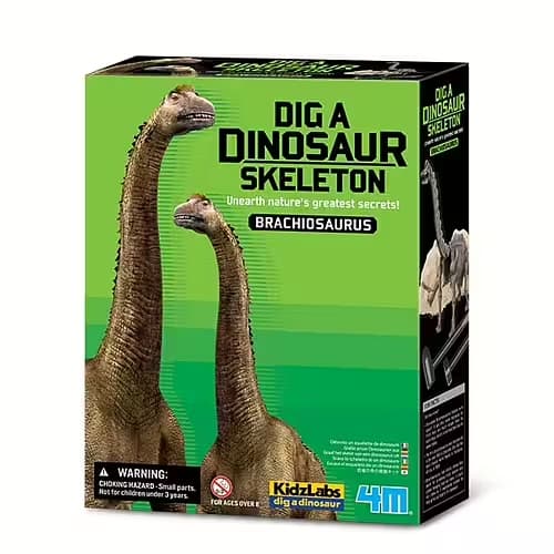 Kidz Labs Brachiosaurus Skeleton - Kalikå