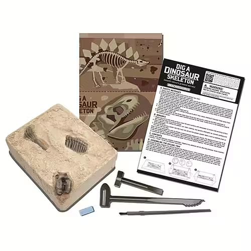 Kidz Labs Brachiosaurus Skeleton - Kalikå