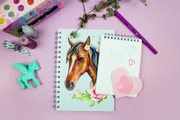 Funpack Hest Fsc®