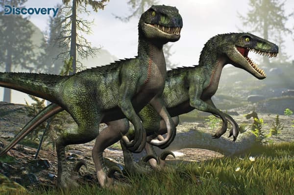 Prime 3D Palapeli Velicoraptors 150 Palaa