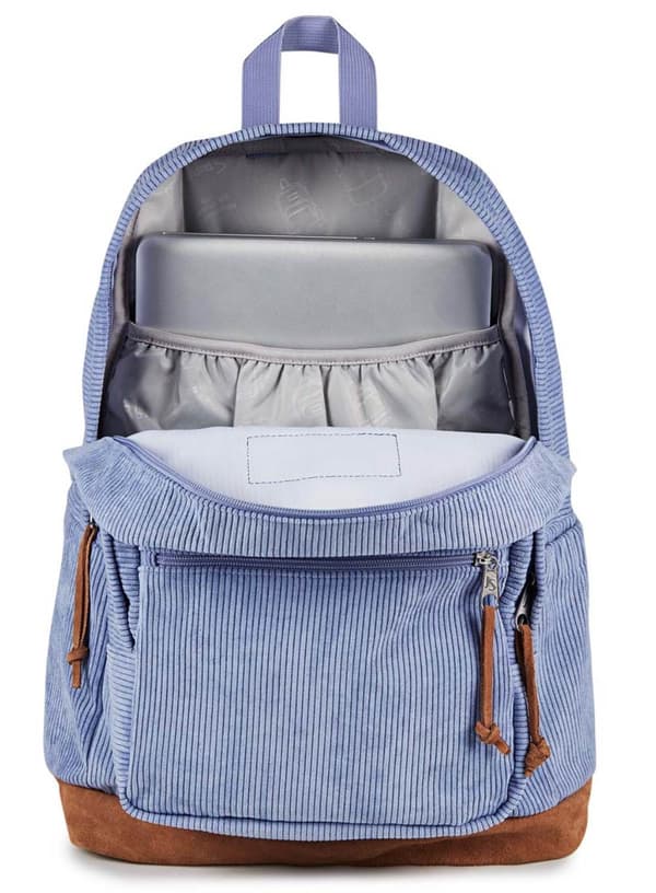 JanSport Right Pack Expression dagsrygsæk - lavendel ask fløjl