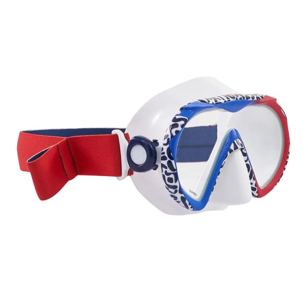 Aqualung Compass dykmask flerfärgad