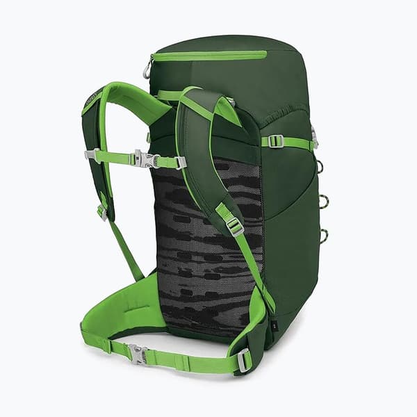 Osprey Jet 28 l rygsæk grøn canopy