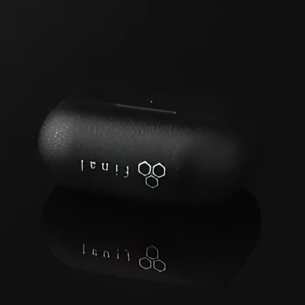 FINAL AUDIO ZE3000 SV ANC In-ear hovedtelefoner Sort