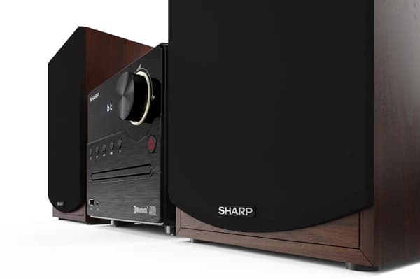 Sharp XL-B512 15W Bluetooth FM Radio Sort