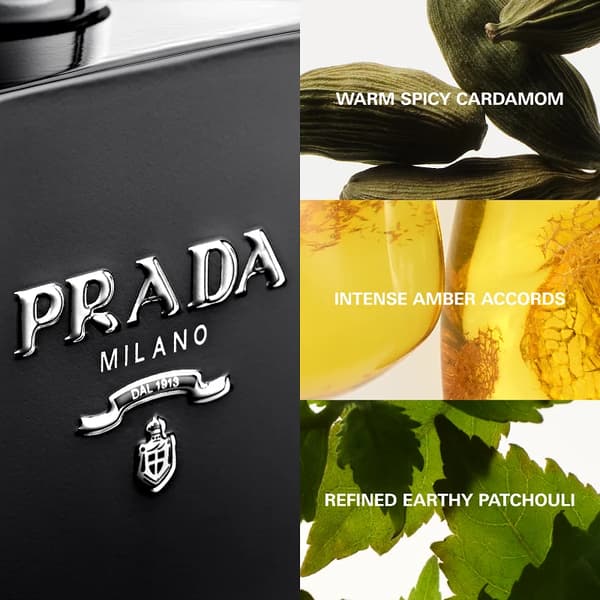 Prada L'Homme Intense Eau de Parfum til mænd 100 ml