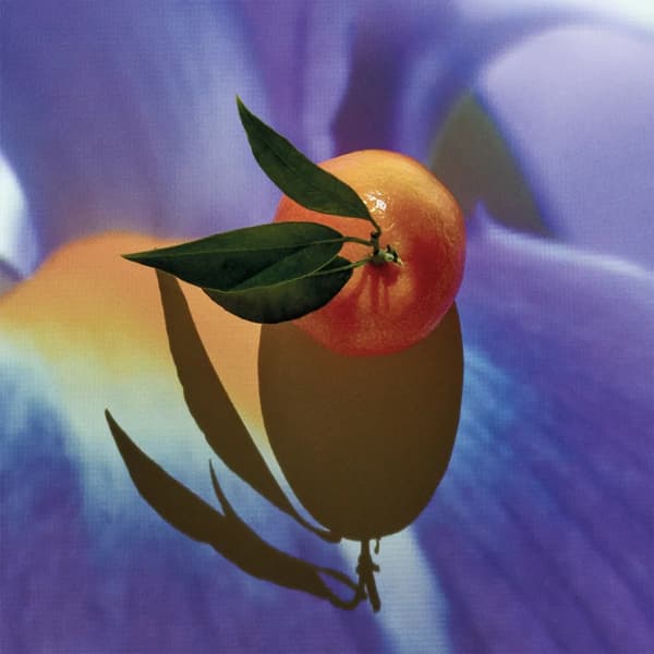 Loewe Solo Elixir Eau de Parfum til mænd