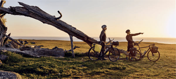 Cykelväskor THULE Shield Pannier