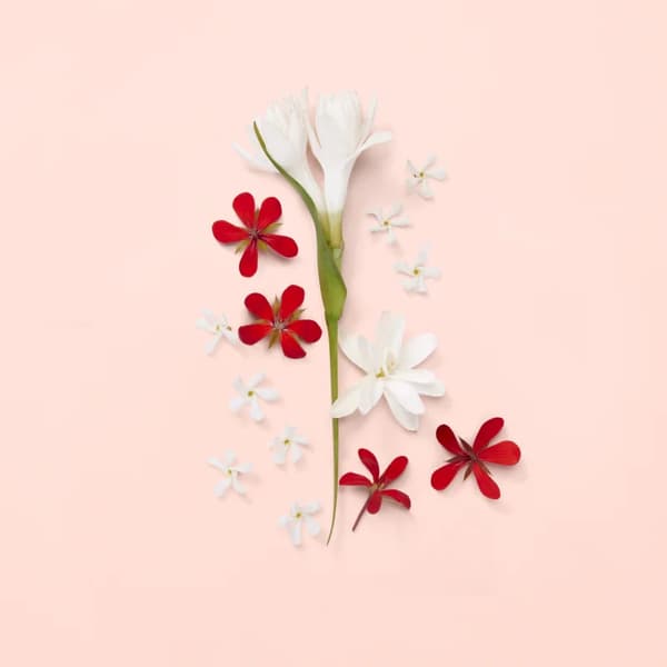 Gucci Bloom Eau de Toilette til kvinder
