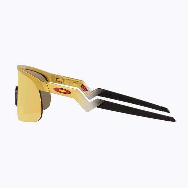 Oakley Resistor børnesolbriller guld/prizm 24k