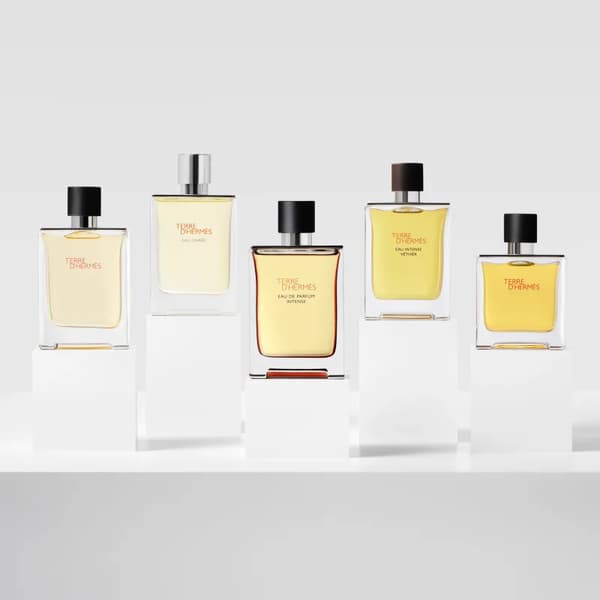 HERMÈS Terre d’Hermès Eau de Parfum Intense til mænd