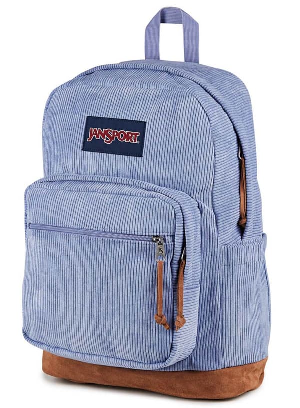 JanSport Right Pack Expression dagsrygsæk - lavendel ask fløjl