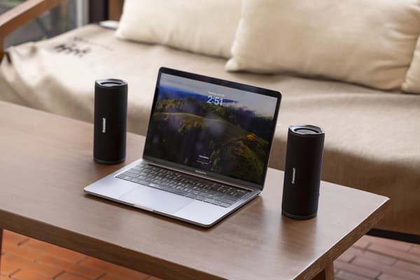 Tronsmart Mirtune C3 24W Bluetooth-højttaler Sort