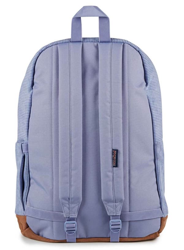 JanSport Right Pack Expression dagsrygsæk - lavendel ask fløjl