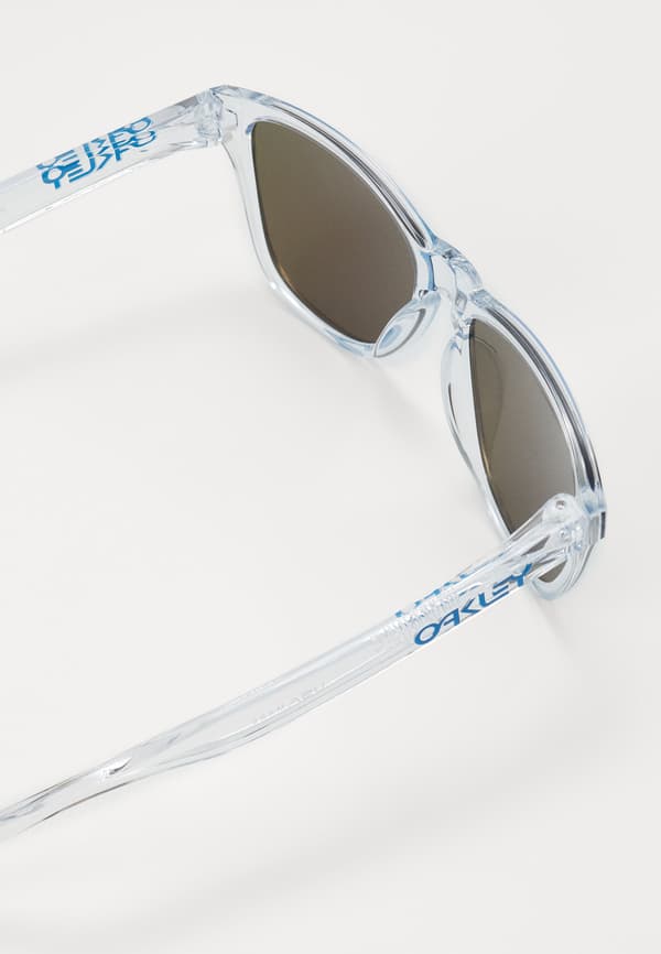 FROGSKINS UNISEX - Solbriller - polished clear