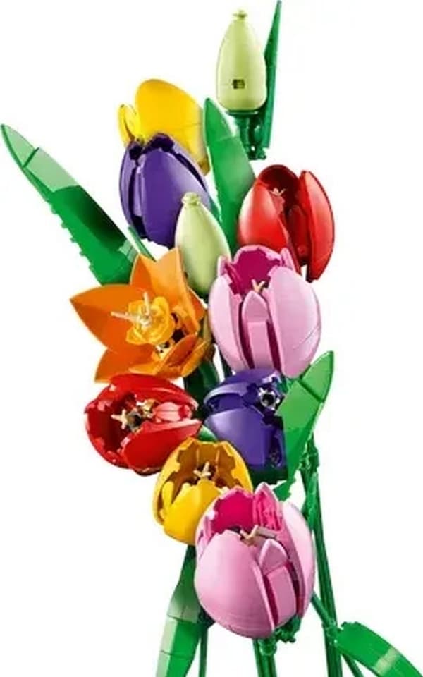 LEGO Botanicals 11501 Tulpanbukett