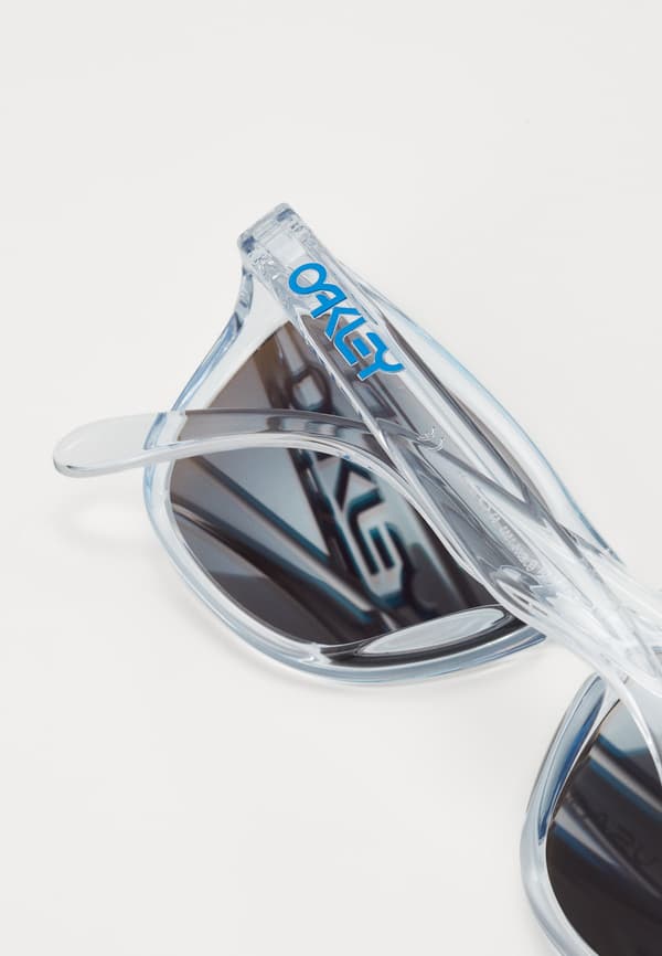 FROGSKINS UNISEX - Aurinkolasit - polished clear