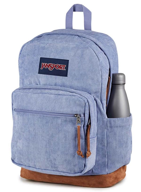 JanSport Right Pack Expression dagsrygsæk - lavendel ask fløjl