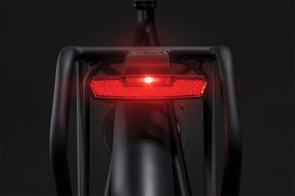 AXA Juno E-Bike Bremselygte