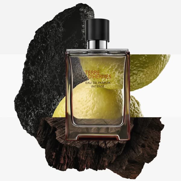 HERMÈS Terre d’Hermès Eau de Parfum Intense til mænd