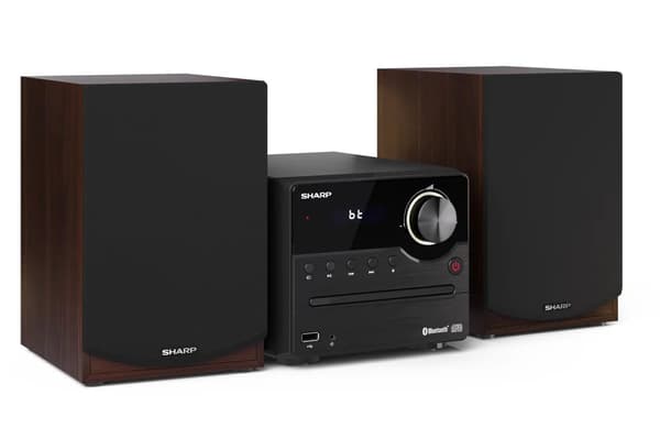 Sharp XL-B512 15W Bluetooth FM Radio Sort