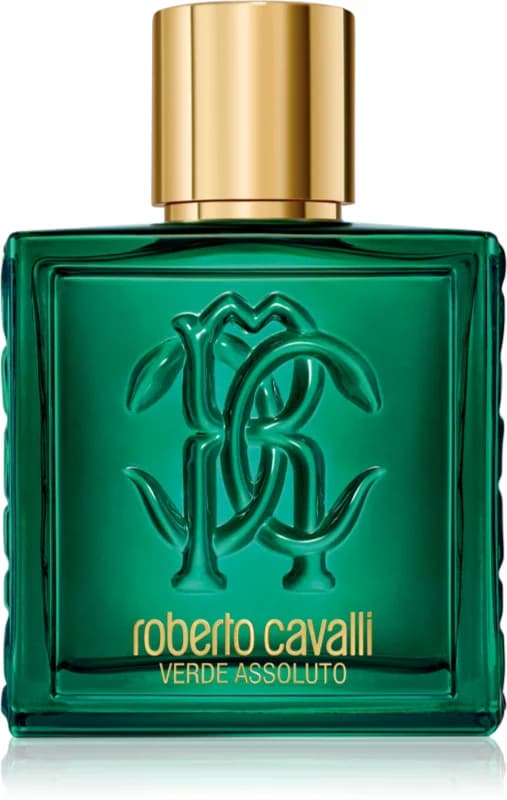 Roberto Cavalli Uomo Verde Assoluto Eau de Parfum til mænd 100 ml