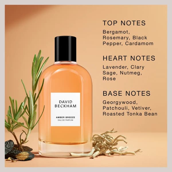 Eau de parfum til mænd David Beckham Amber Breeze